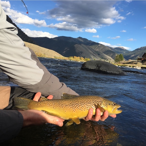 Meet your Posher, Alex - Picture 1 of 1